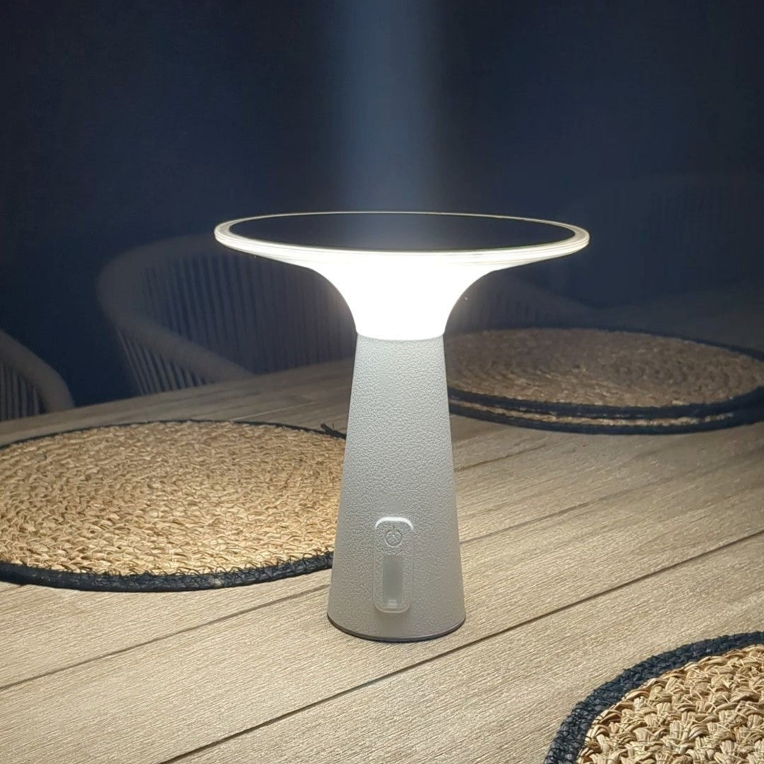 Solar Powered Outdoor Lights with Adjustable Brightness and Color Modes
