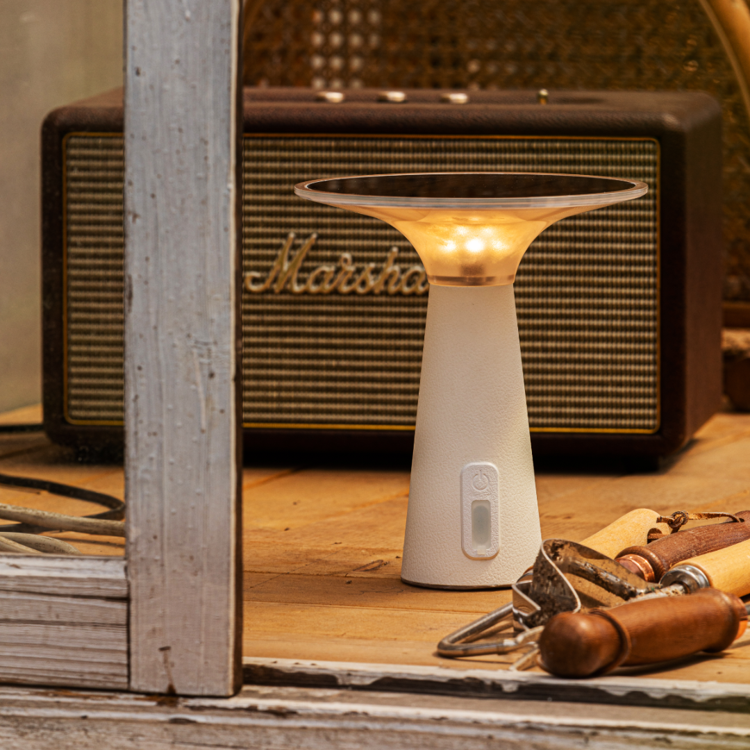 Solar Powered Outdoor Lights with Adjustable Brightness and Color Modes