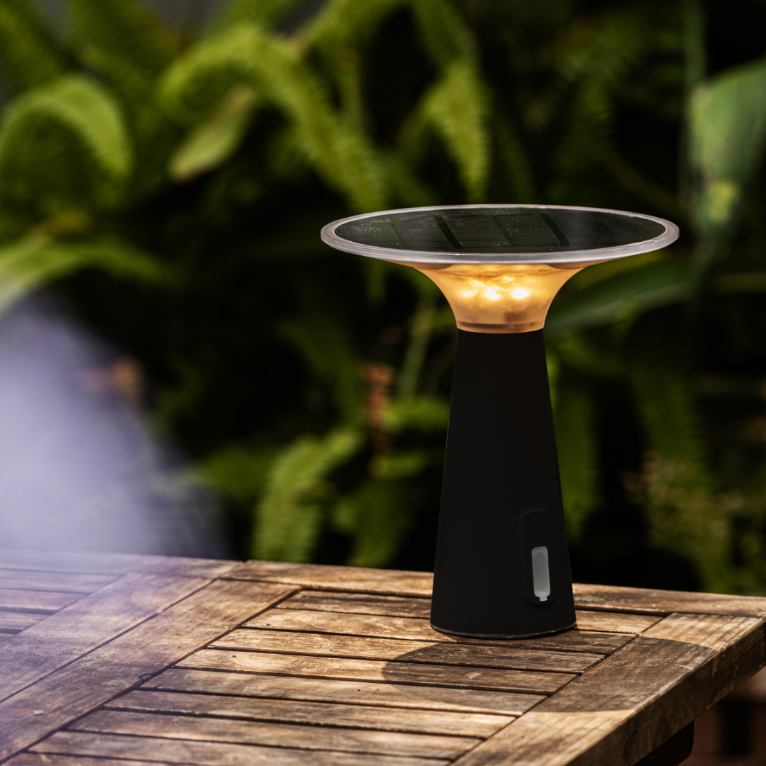 Solar Powered Outdoor Lights with Adjustable Brightness and Color Modes
