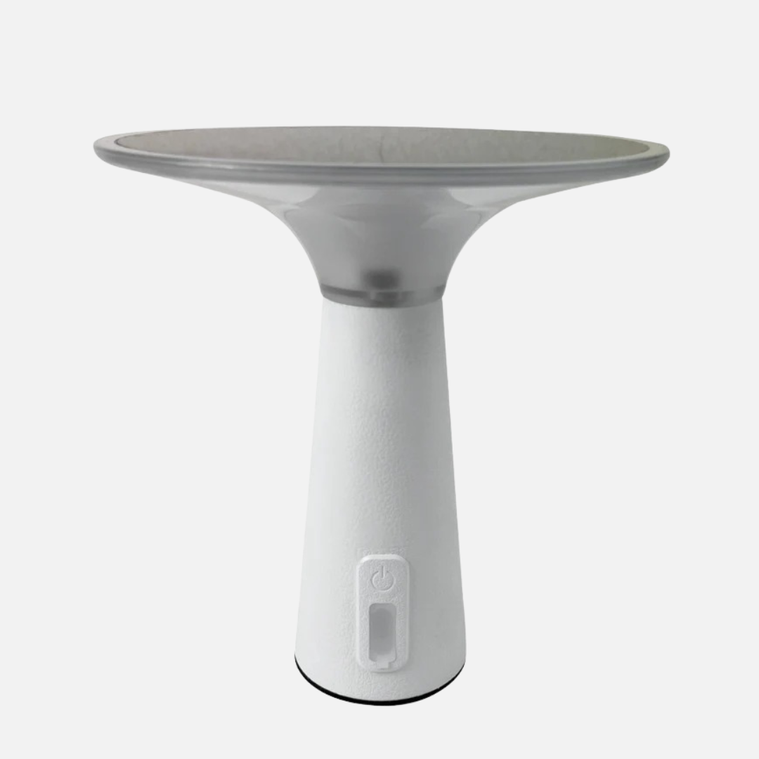 Solar Powered Outdoor Lights with Adjustable Brightness and Color Modes