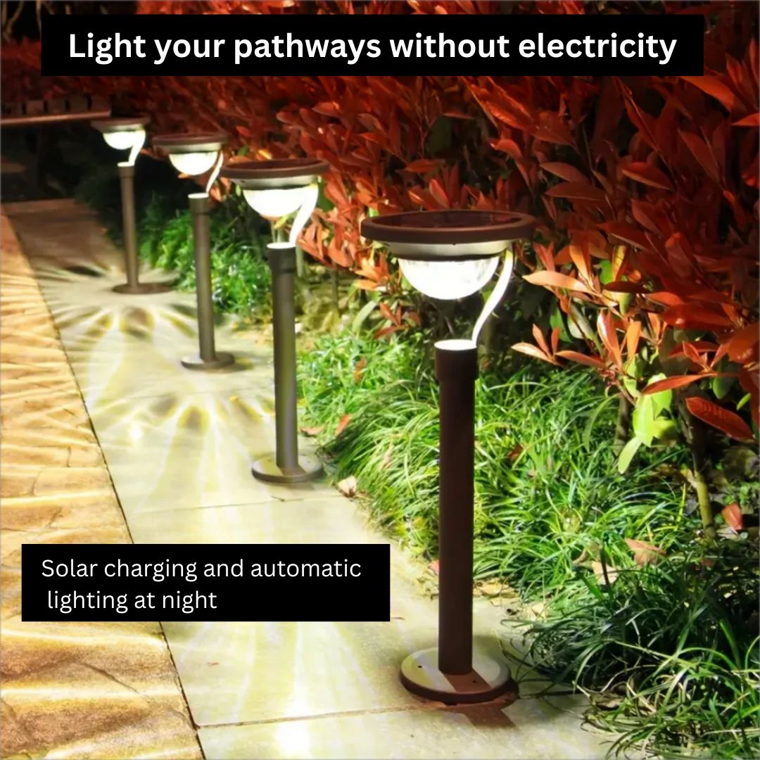 Solar Pathway Light – Eco-Friendly Outdoor Lighting with Automatic Dusk to Dawn Illumination