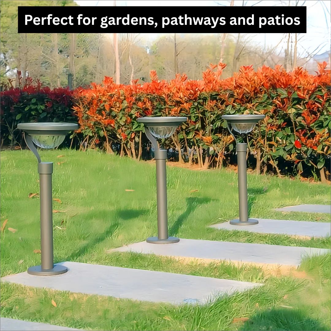 Solar Pathway Light – Eco-Friendly Outdoor Lighting with Automatic Dusk to Dawn Illumination