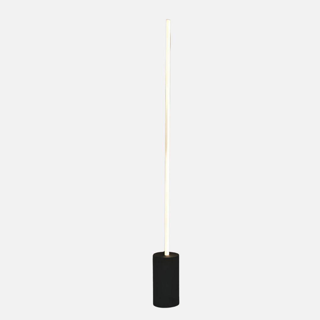 Contemporary Matte Black Outdoor Light Fixture with Adjustable Wattage