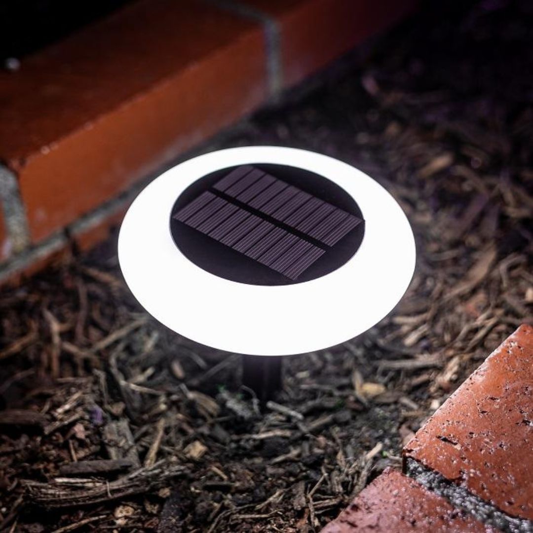 Multicolor Solar Garden Lights with Dusk to Dawn – 5 Modes Outdoor Lighting