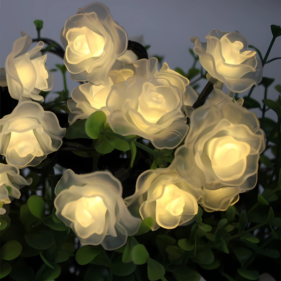 LED Rose String Lights Warm White White Foam or Frosted