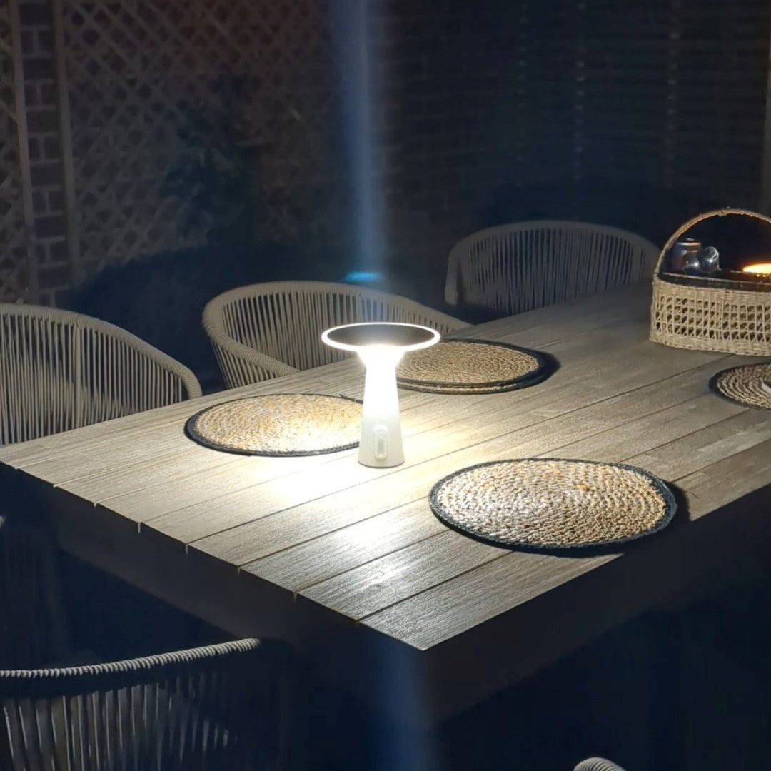 Solar Powered Outdoor Lights with Adjustable Brightness and Color Modes