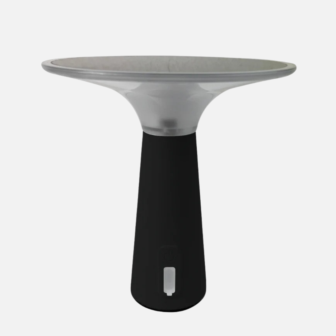 Solar Powered Outdoor Lights with Adjustable Brightness and Color Modes