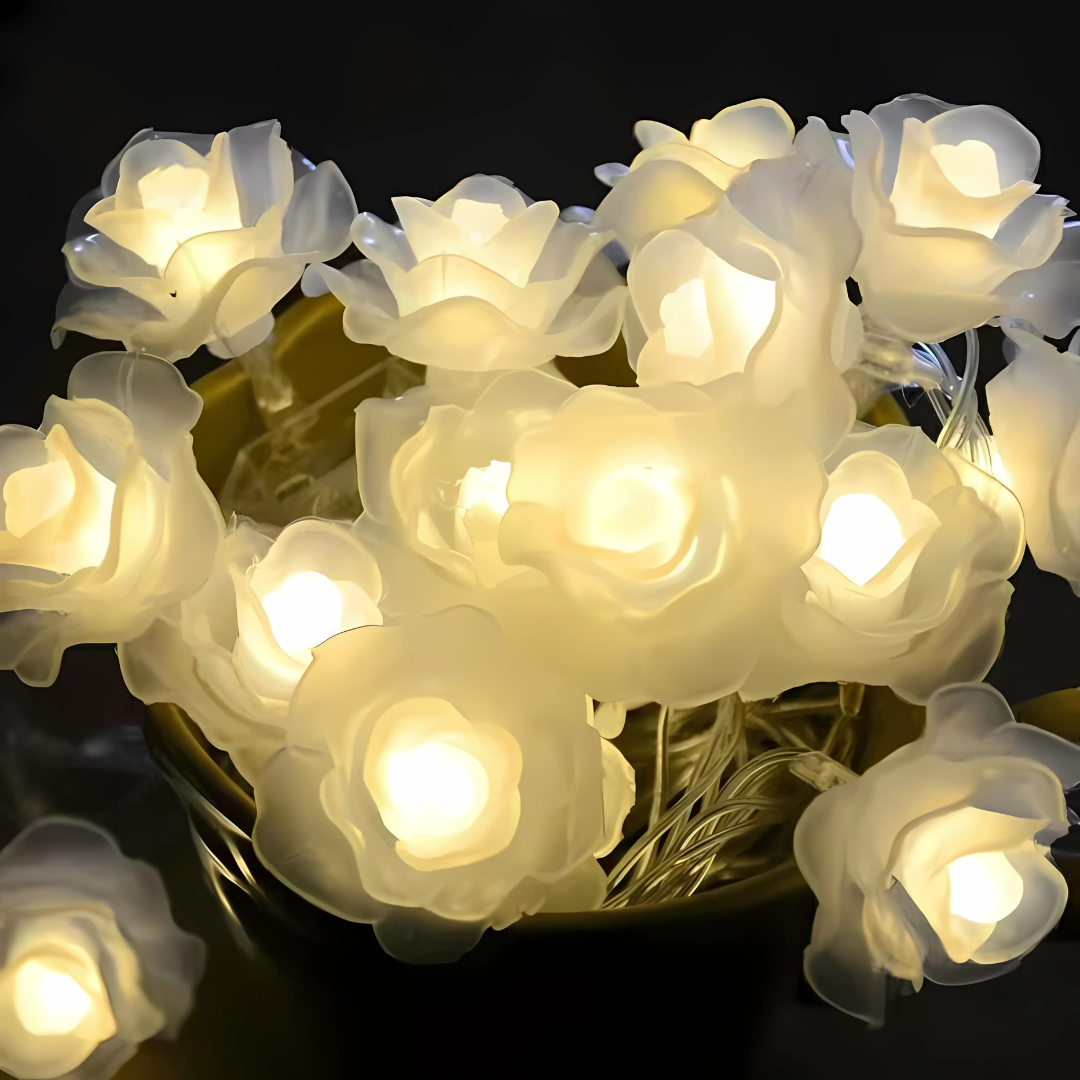 LED Rose String Lights Warm White White Foam or Frosted