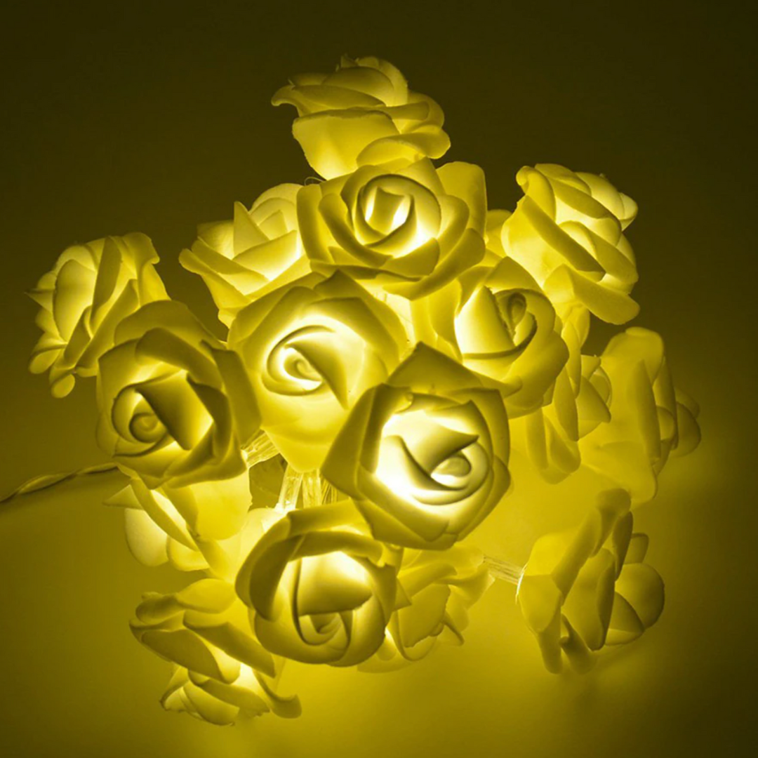 LED Rose String Lights Warm White White Foam or Frosted