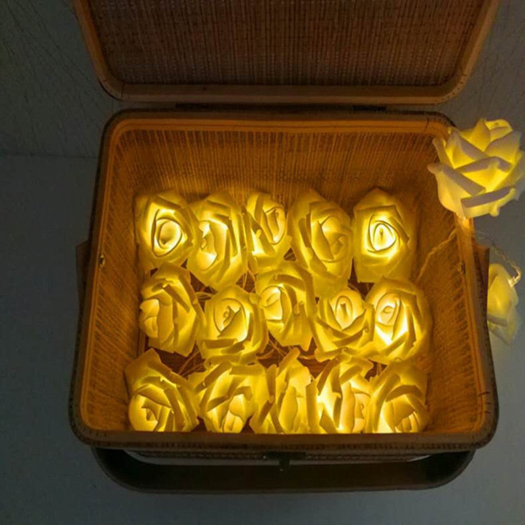 LED Rose String Lights Warm White White Foam or Frosted