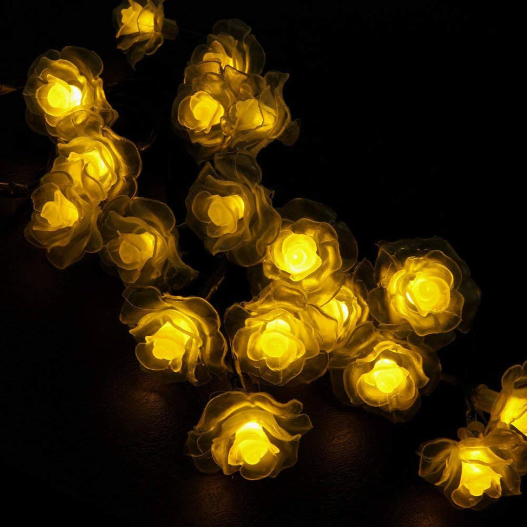 LED Rose String Lights Warm White White Foam or Frosted