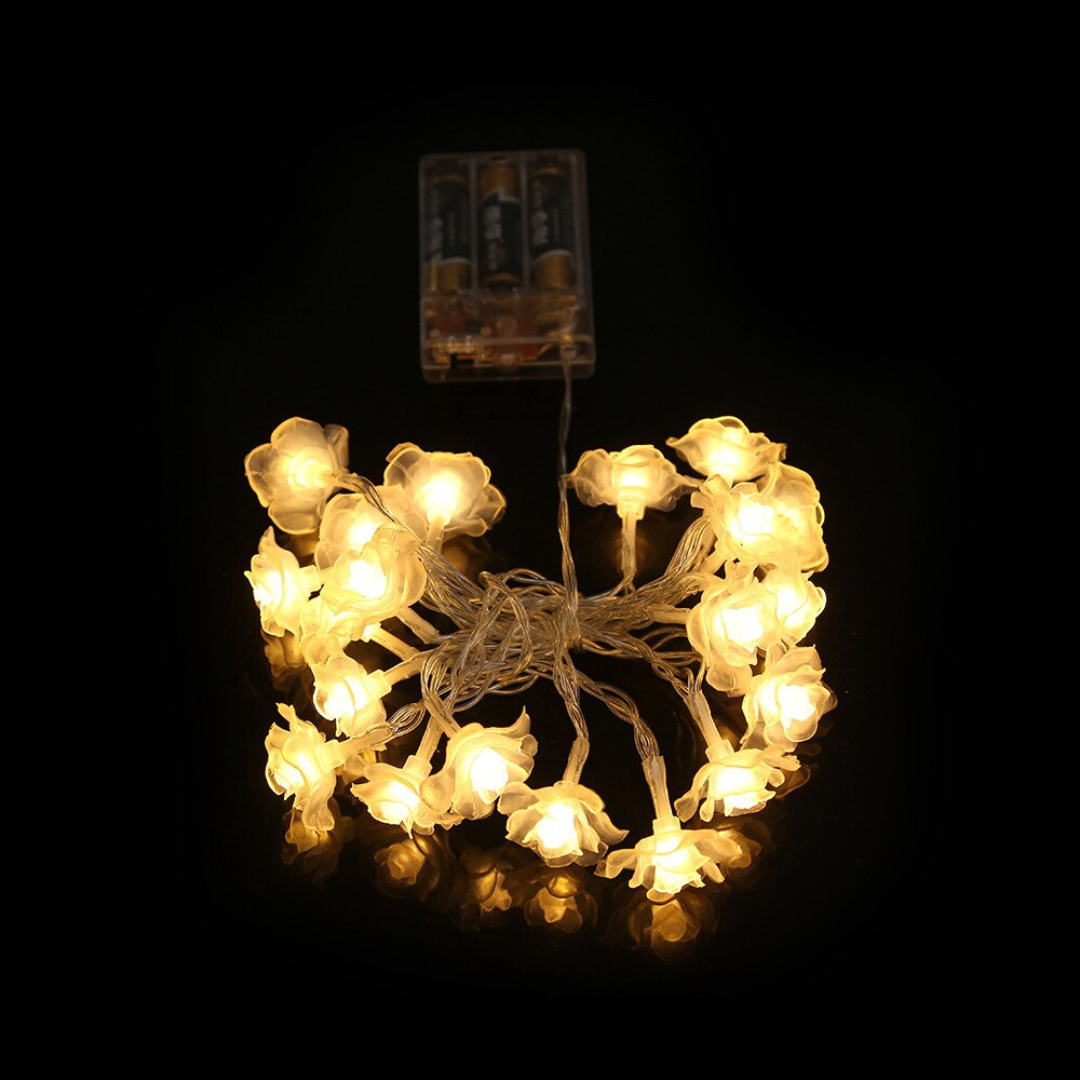 LED Rose String Lights Warm White White Foam or Frosted